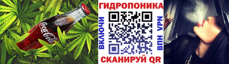 Canna-Cookies марихуана  Мглин 