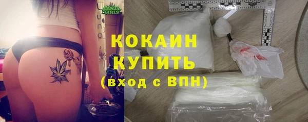 дмт Богородск