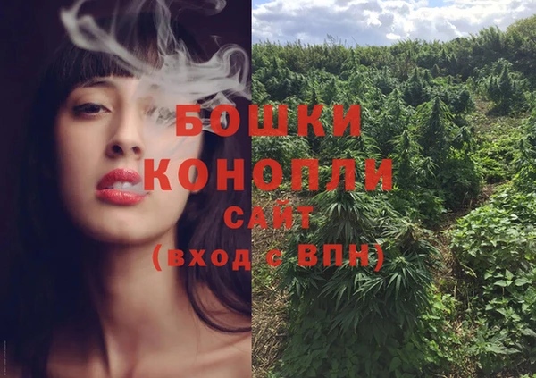 дмт Богородск