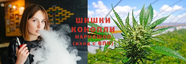 мяу мяу кристалл Богданович